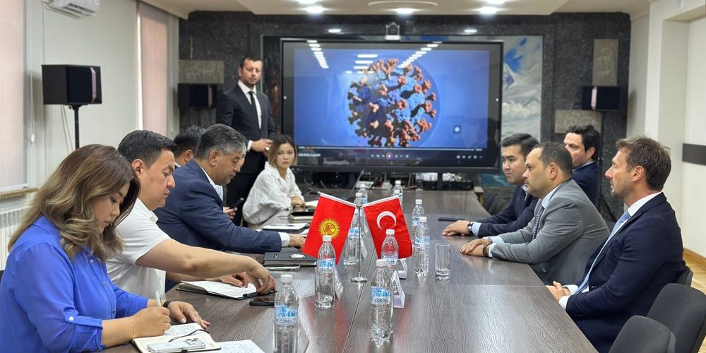 Турецкие инвесторы готовы вложить $116 млн в биобезопасность Кыргызстана изображение публикации