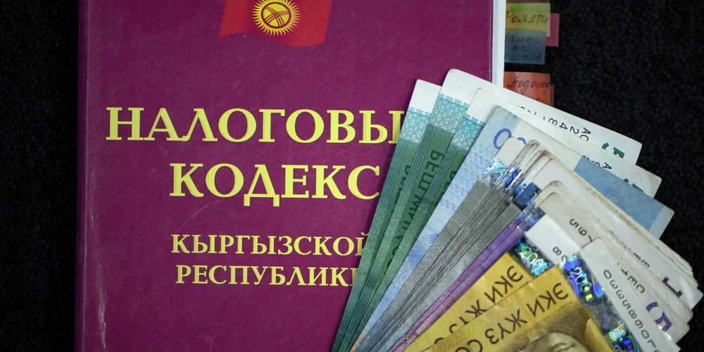 Кто пишет Налоговый кодекс и откуда берутся коллизии — ответ ГНС изображение публикации