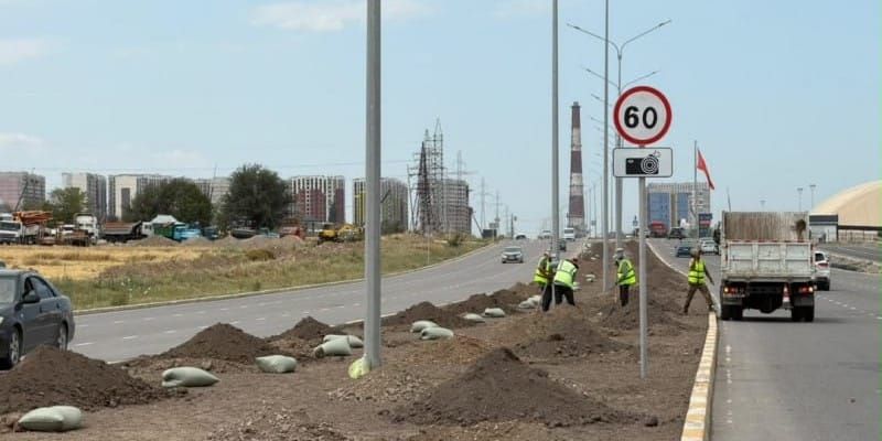 К саммиту ШОС на улице Жайыл Баатыра высадили 83 акации изображение публикации