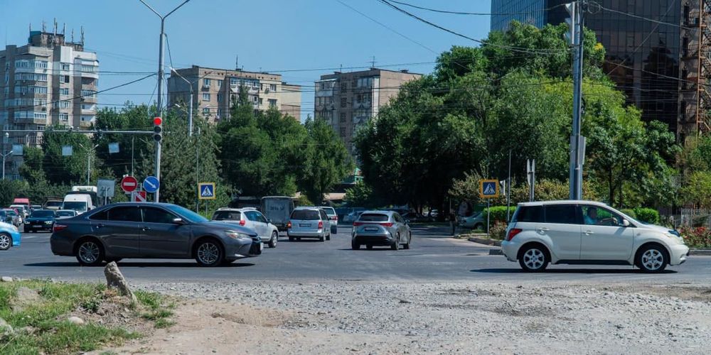 Минприроды оштрафовало «Бишкекзеленхоз» за незаконную вырубку деревьев изображение публикации