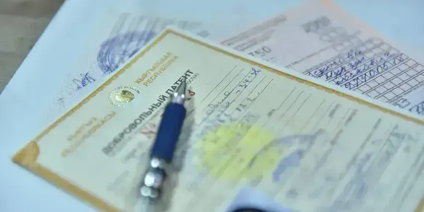 Как приграничным мигрантам оформить патент онлайн — гайд ГНС изображение публикации