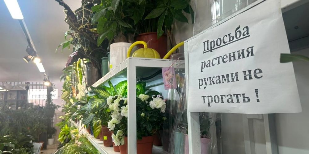 В агроаптеках и цветочных магазинах Каракола выявлены нарушения требований закона изображение публикации