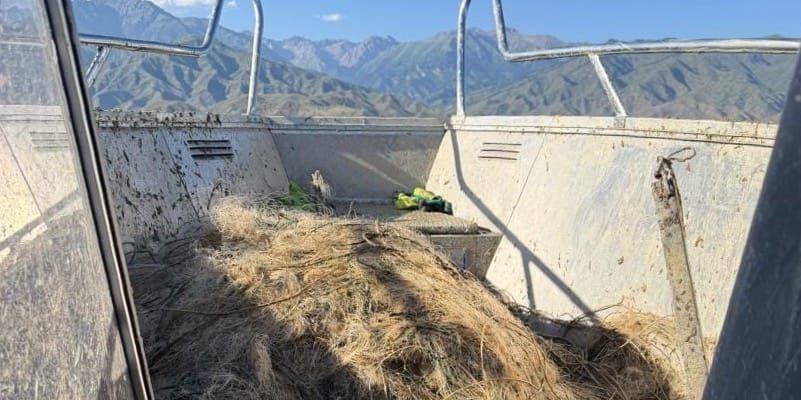 Со дна Иссык-Куля подняли 11.6 км сетей и 190 кг мусора изображение публикации