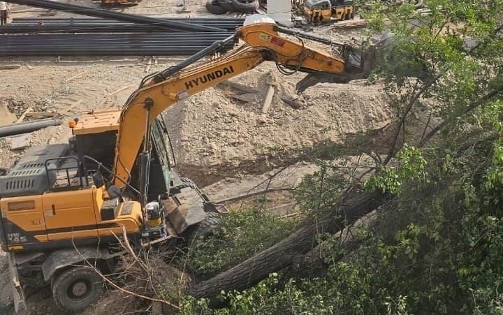 В Бишкеке на месте «Чатыр-Куля» экскаваторами уничтожили деревья изображение публикации