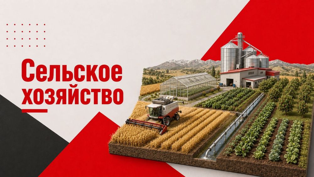  изображение публикации