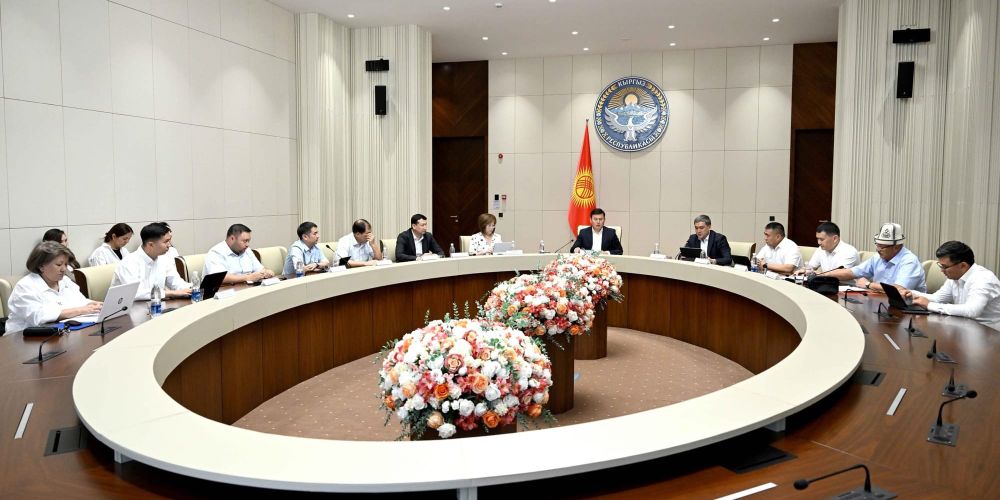 На «Бала ырысы» направили 235.8 млн сомов: кабмин КР подвел первые итоги выплат изображение публикации