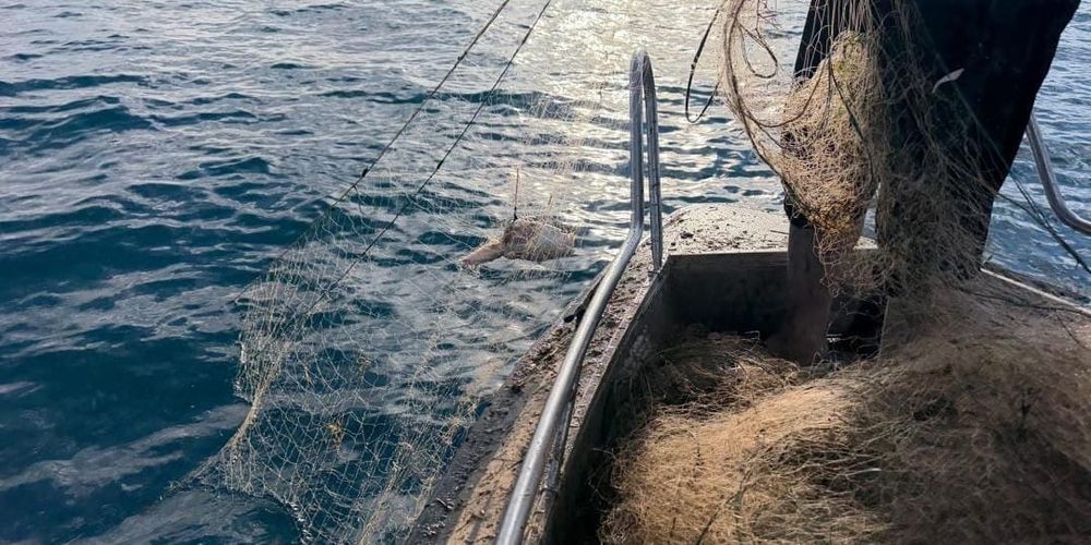 На Иссык-Куле за три дня очистили акваторию от 3.2 км сетей изображение публикации