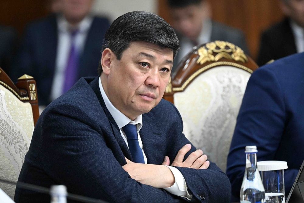 Кыргызстан намерен вернуть статус экспортера семян и саженцев – Торобаев изображение публикации