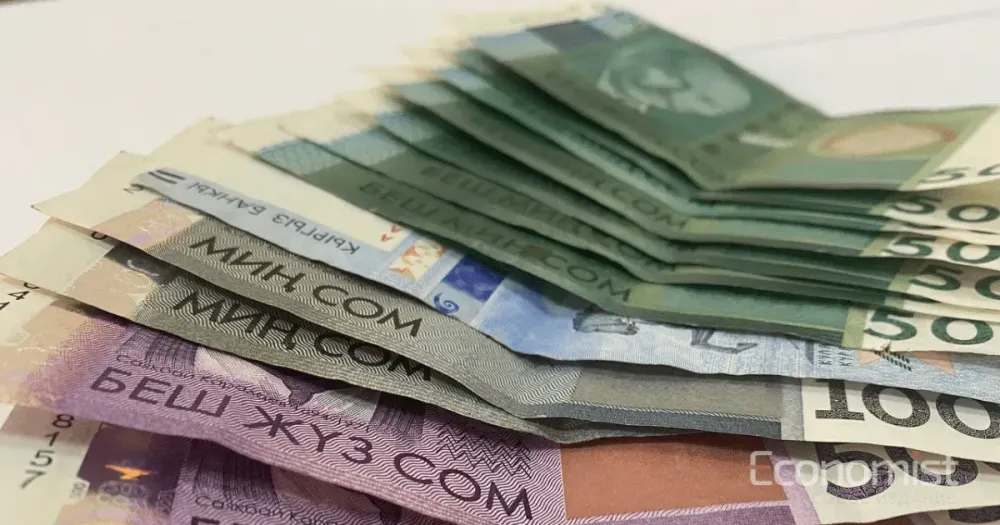 Прибыль Гарантийного фонда в 2024 году превысила 440 млн сомов изображение публикации