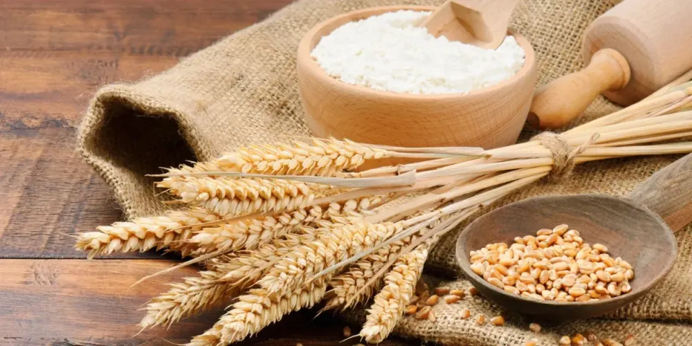 Сахар дешевеет, зерно дорожает: как изменились мировые цены на продукты в январе изображение публикации