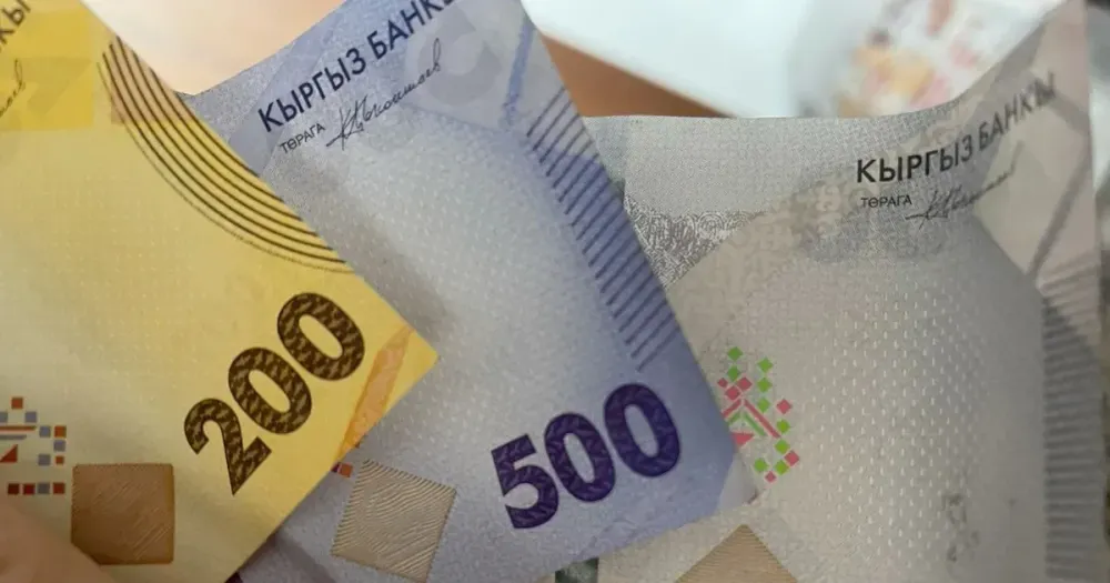 Сом просел ко всем валютам, кроме доллара — курс НБ КР на выходные изображение публикации