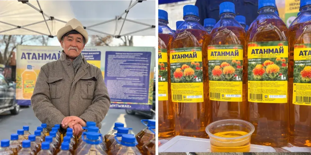Как производитель сафлорового масла из КР конкурирует с импортной продукцией – интервью с Кубанычбеком Атановым изображение публикации