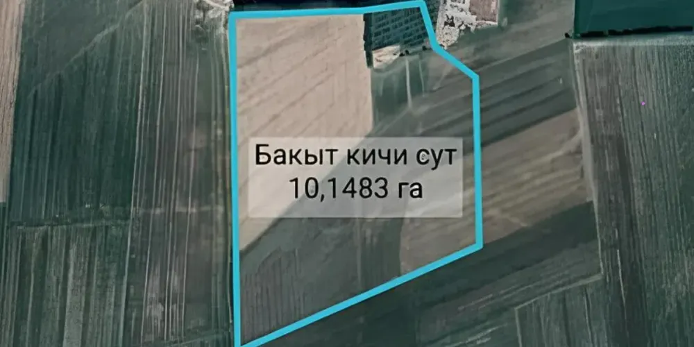Государству вернули 20 га пастбищ и пашен в Кочкорском районе изображение публикации