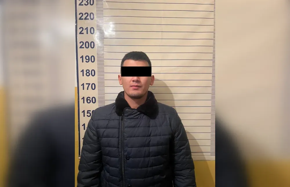 Россиянин доверился поставщику авто в Кыргызстане и лишился $135.8 тысячи изображение публикации