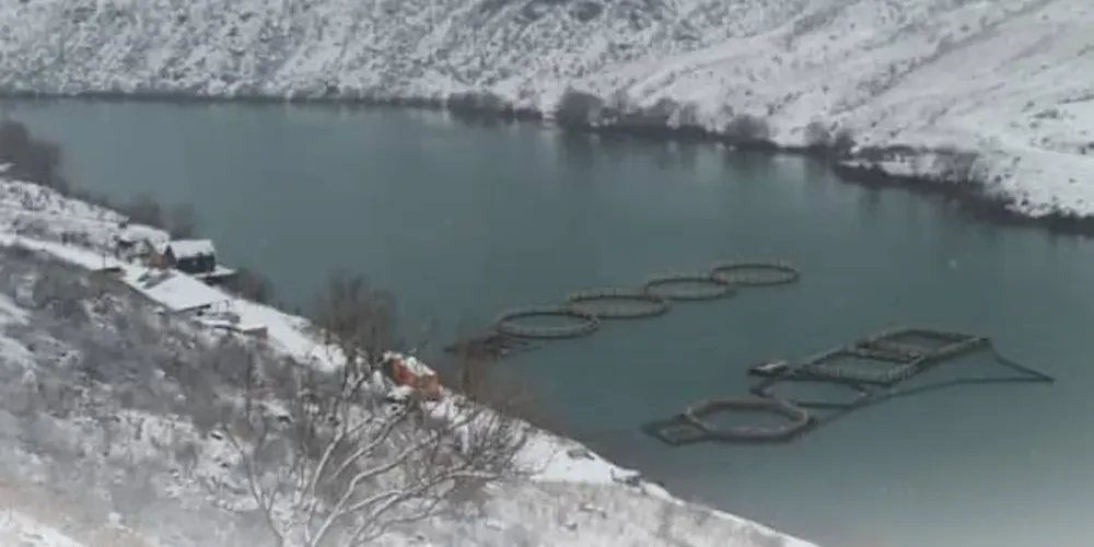 Рыбному хозяйству незаконо предоставили землю в водоохранной зоне Курпсайского водохранилища – Генпрокуратура изображение публикации