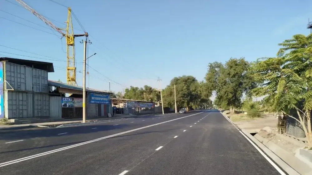 В ЖК предлагают запустить общественный транспорт по улице Льва Толстого изображение публикации