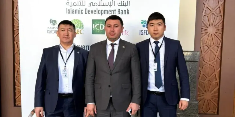 Кыргызстан и ИБР обсудили стратегию развития до 2035 года изображение публикации