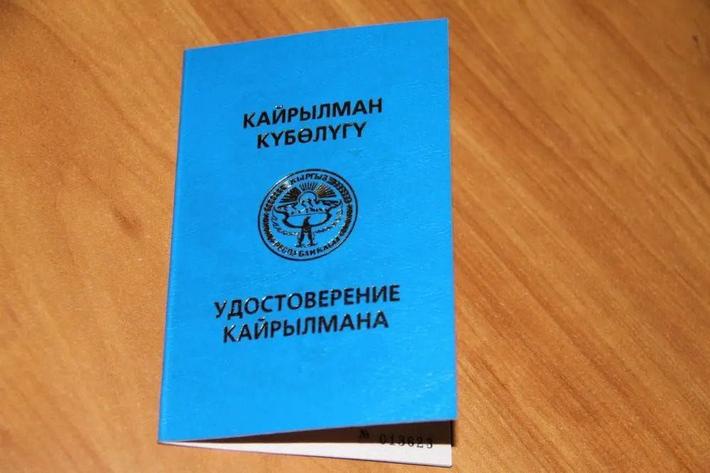 Более 1200 этнических кыргызов получили статус кайрылмана в 2024 году изображение публикации