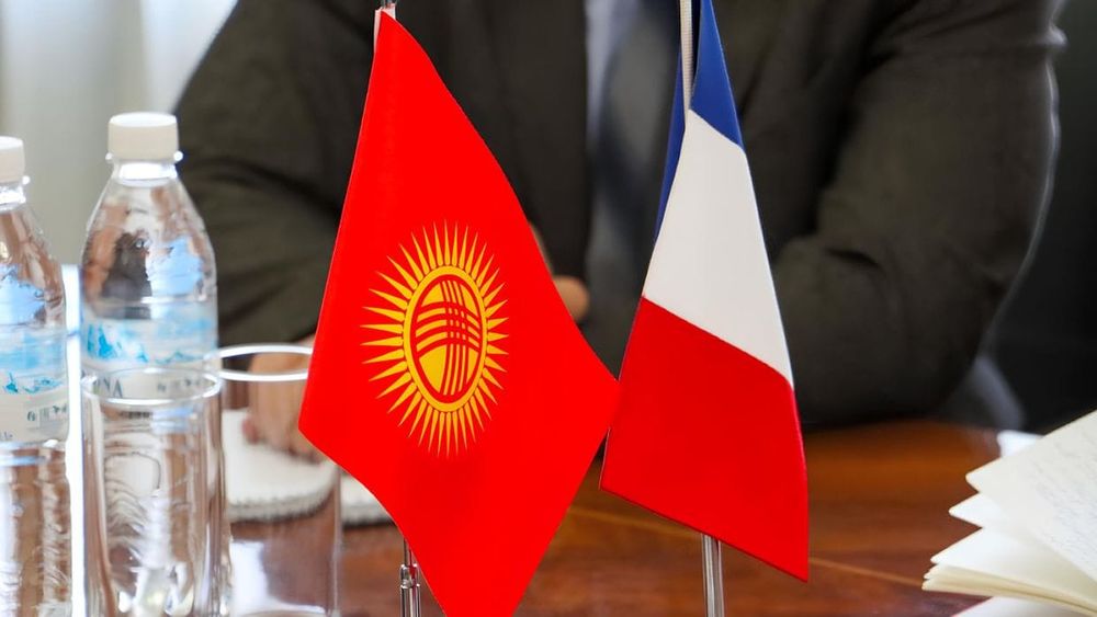 Бизнес-форум, инвестиции и трудоустройство: Кыргызстан и Франция расширяют сотрудничество изображение публикации