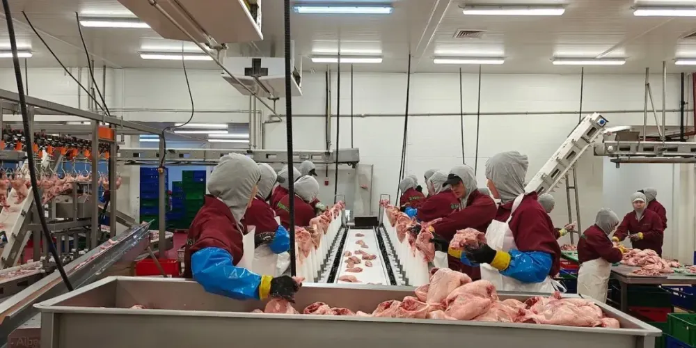 В Кыргызстане за январь произведено товаров на 46.6 млрд сомов: какой регион внес наибольший вклад? изображение публикации