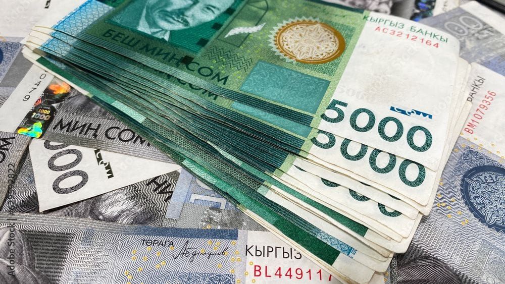 Гарантийный фонд обеспечил бизнесу КР доступ к кредитам на 263.6 млн сомов с начала года изображение публикации