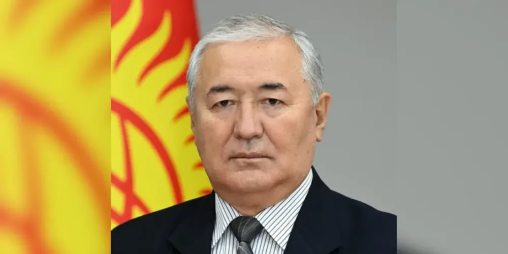 Бекбосун Борубашов назначен председателем Национальной аттестационной комиссии. Что о нем известно? изображение публикации