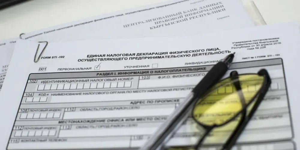 В Кыргызстане начался прием единой налоговой декларации за 2024 год – кто может ее не сдавать? изображение публикации