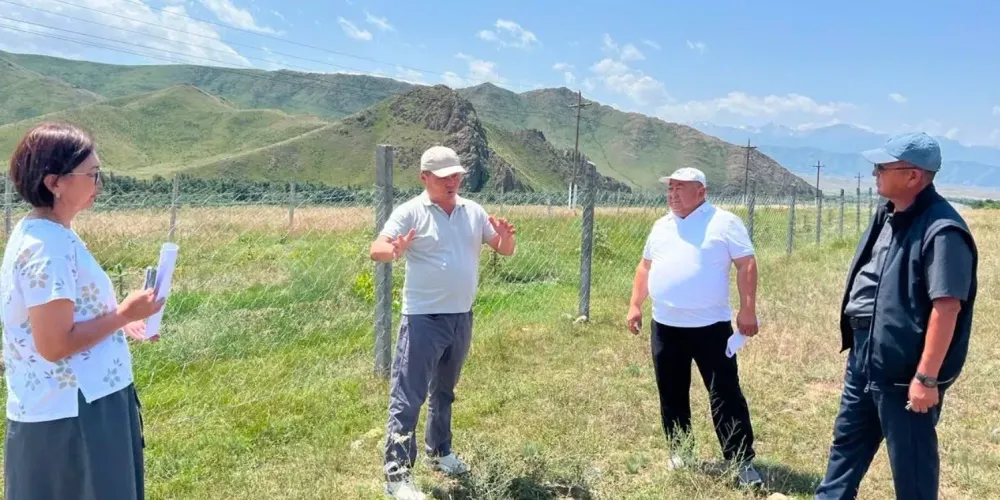 В селе Арал высадили ели и березы по программе «Жашыл Мурас» изображение публикации