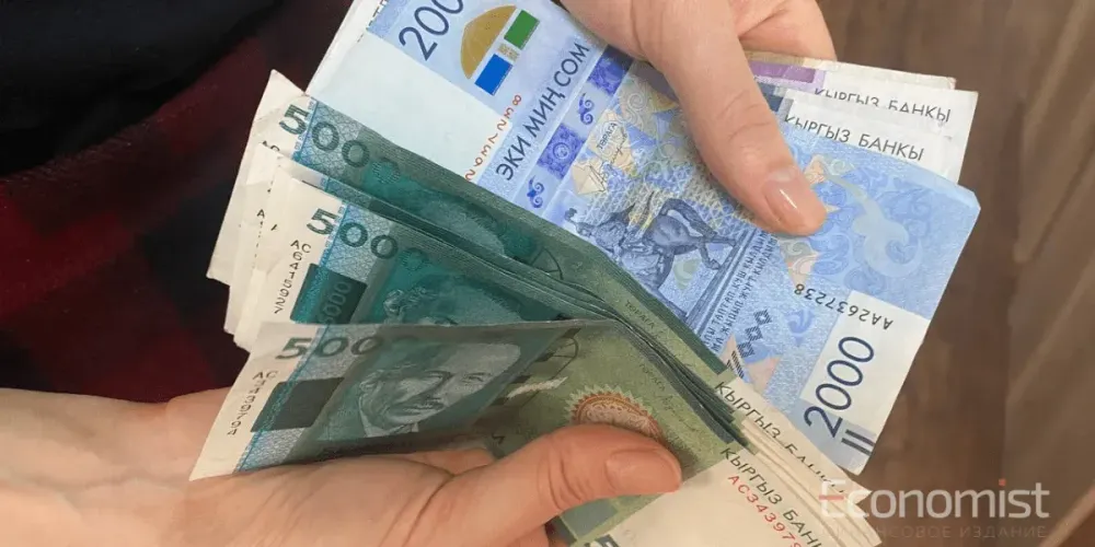 Соцфонд КР инвестировал 9.5 млрд сомов пенсионных накоплений — сколько заработал? изображение публикации