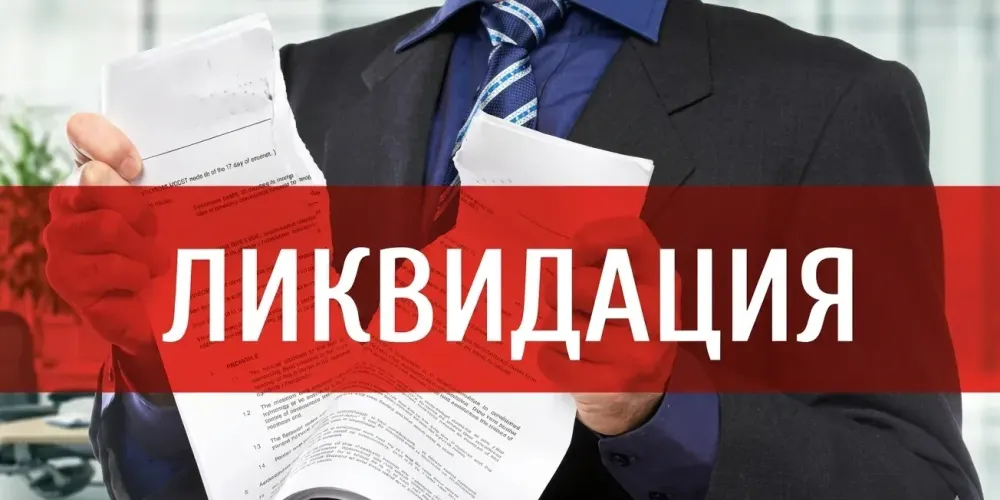 ГНС Кыргызстана принудительно ликвидирует 21.6 тысячи неработающих компаний и ИП изображение публикации