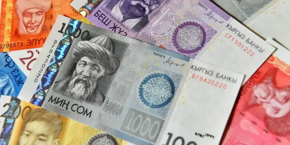Минфин Кыргызстана привлек 700 млн сомов: ГКВ — под 10.5% и ГКО — под 13% изображение публикации