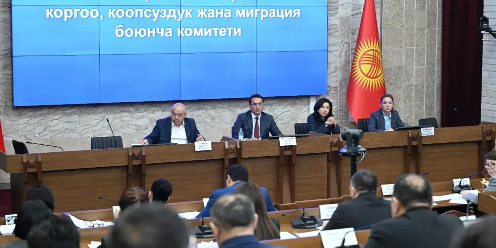 $30 млн на 20 лет: на каких условиях Фонд ОПЕК выделит кредит Кыргызстану? изображение публикации