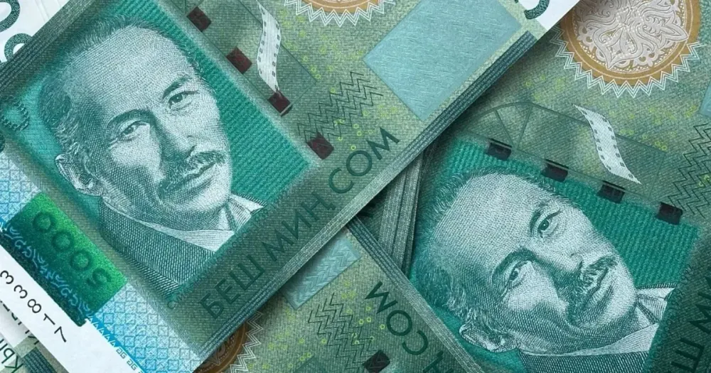 «ИнвесКор СА» выплатила доход по облигациям на 4.4 млн сомов — КФБ изображение публикации