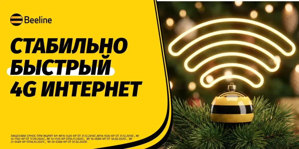 Встречайте Новый год с надежной сетью Beeline изображение публикации