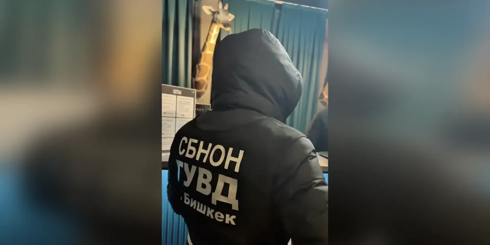 В Бишкеке проверяют заведения «Антикино» — видео изображение публикации