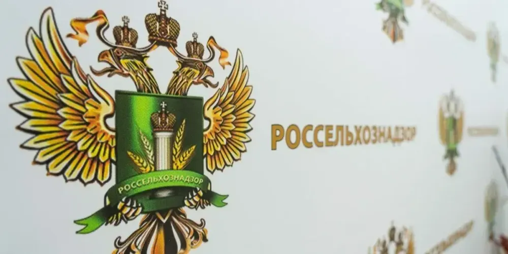 Россельхознадзор пресек вывоз почти 500 голов скота в КР, Таджикистан и Узбекистан изображение публикации