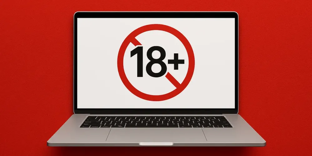 В Кыргызстане ввели штрафы за распространение порнографии в Интернете изображение публикации