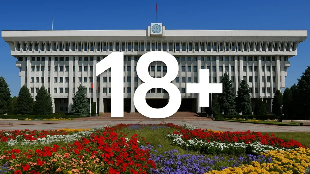 Комитет ЖК одобрил запрет порносайтов в Кыргызстане изображение публикации