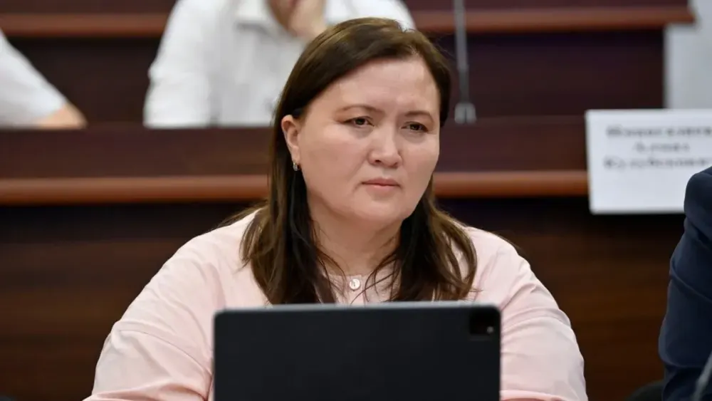 Экс-глава Минсоцтруда вошла в состав совета директоров «Элдик Банка» изображение публикации