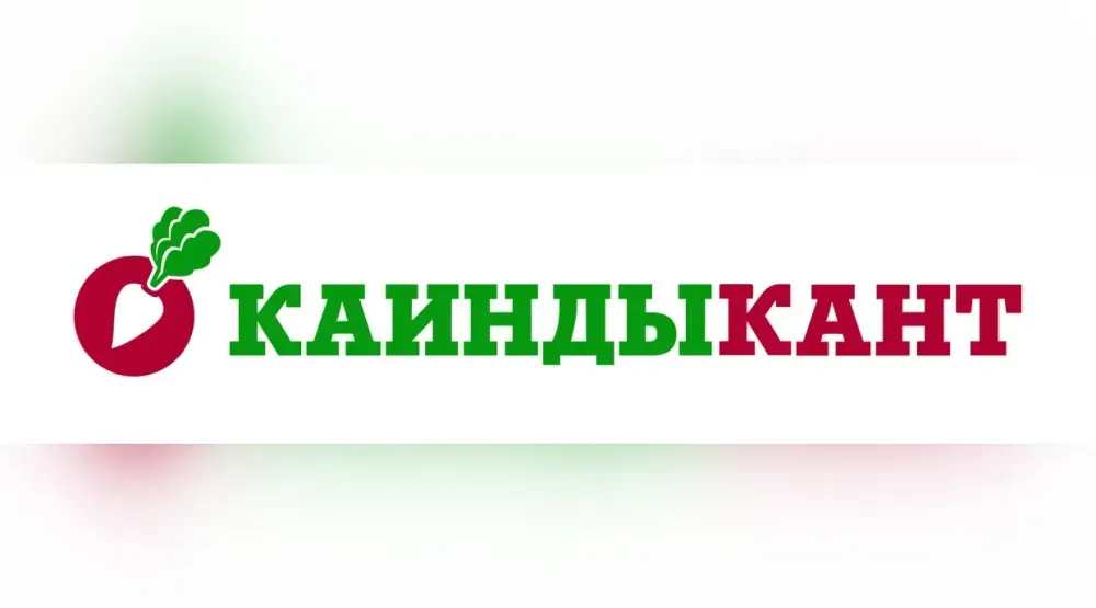 «Каинды-Кант» направит 25% чистой прибыли на выплату дивидендов изображение публикации