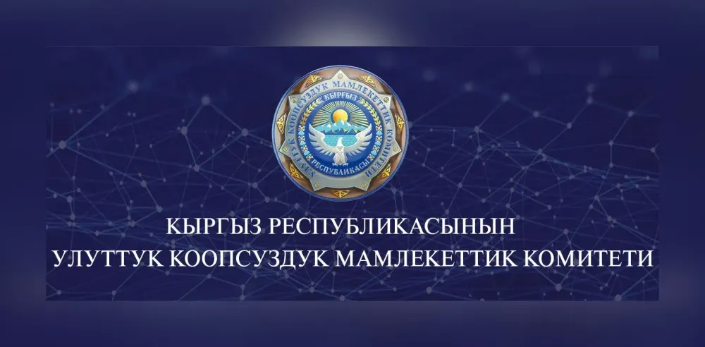 ГКНБ получит доступ к данным пассажиров — решение кабмина Кыргызстана изображение публикации