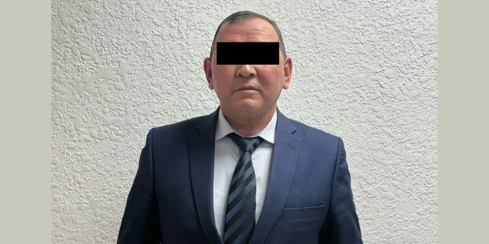 За незаконную трансформацию земель под ИЖС задержан аким Бакай-Атинского района изображение публикации