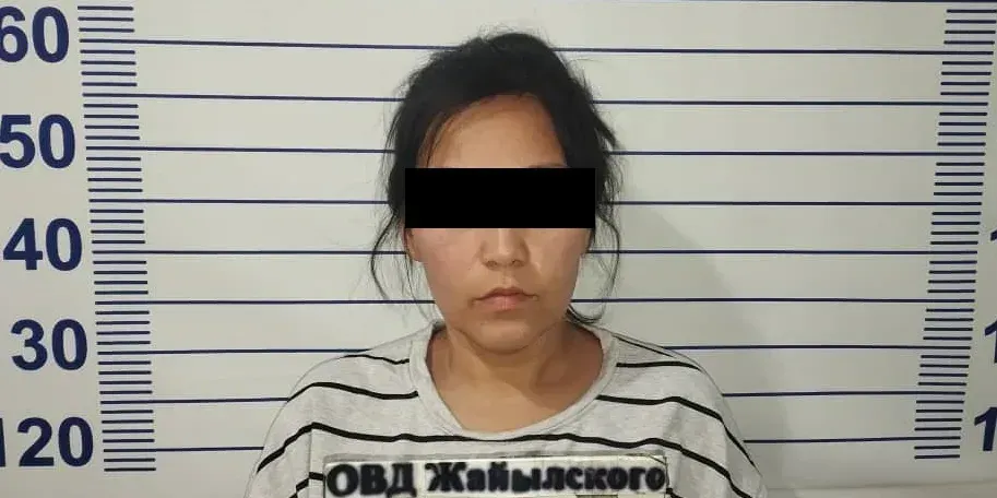 В Чуйской области задержана подозреваемая в мошенничестве на 37.3 млн сомов изображение публикации