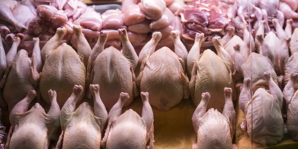 В Кыргызстан пытались с нарушениями ввезти 21 тонну мяса птицы из России изображение публикации