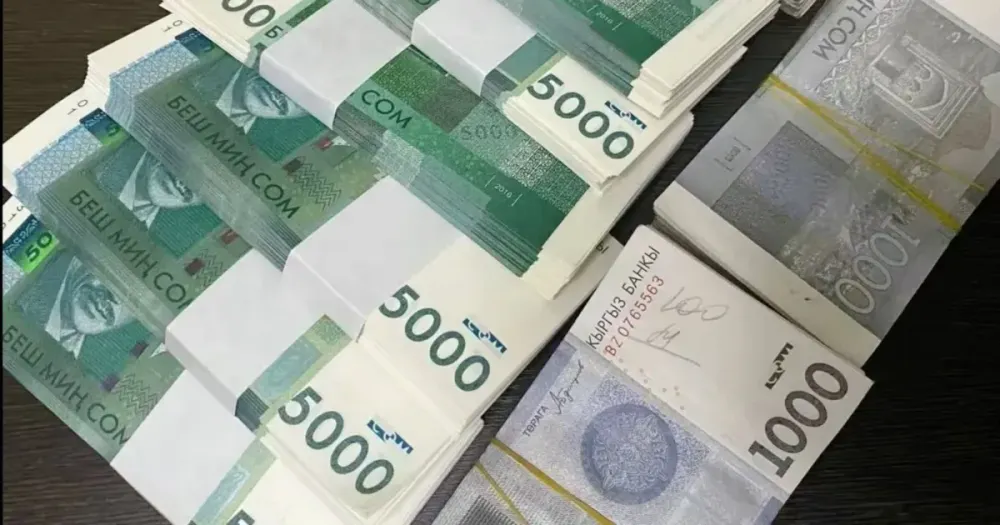 Компания «Теским» выплатила акционерам более 11.3 млн сомов дивидендов за 2024 год изображение публикации