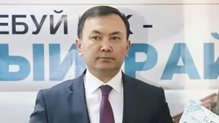 И.о. главы Налоговой службы будет отстранен от должности – Ташиев изображение публикации