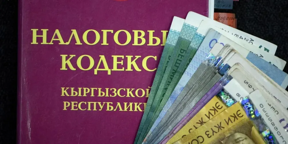 Комитет ЖК поддержал изменения в налоговом законодательстве в первом чтении изображение публикации