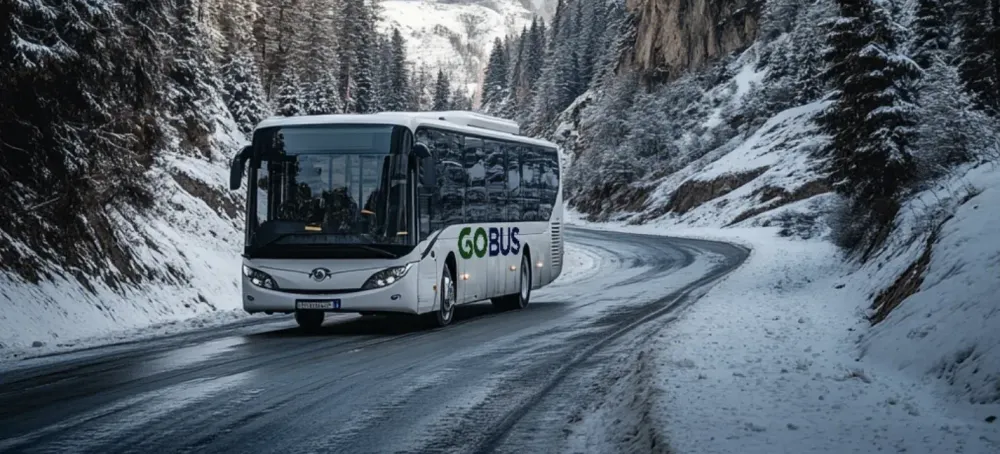 GoBus возобновляет рейсы из Бишкека в Нарын с 29 ноября изображение публикации