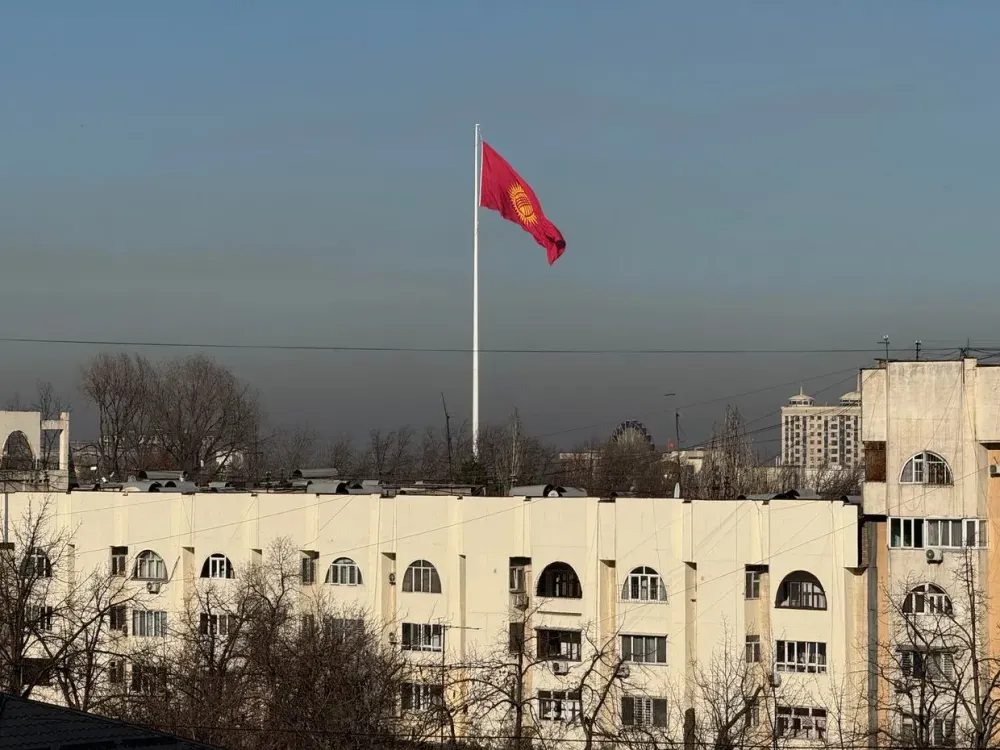От астмы до рака легких: какие болезни провоцирует смог, напомнили в МЧС изображение публикации