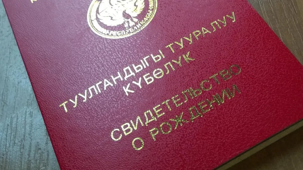 В Кыргызстане полностью решили проблему регистрации новорожденных изображение публикации